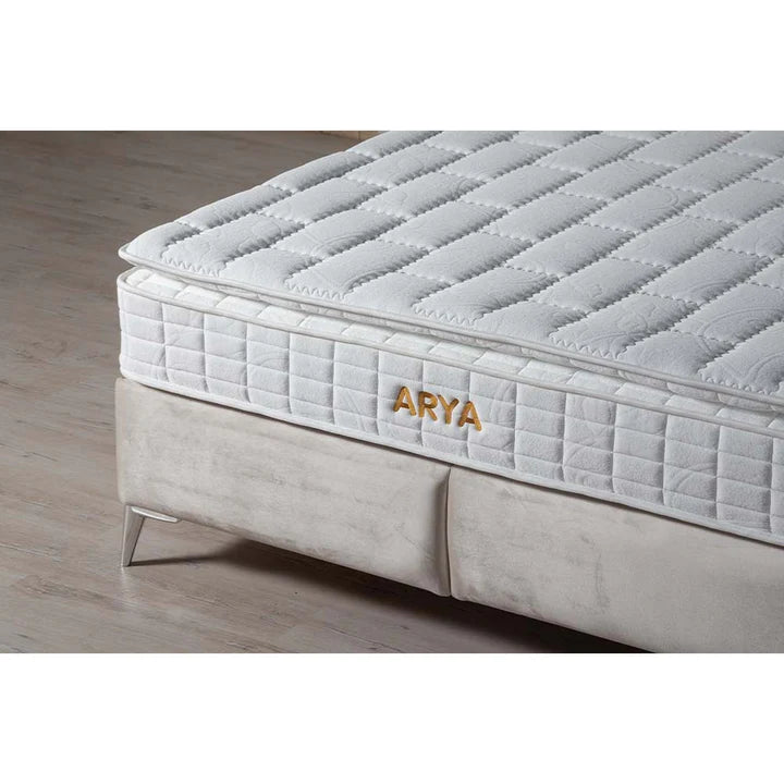 Pat Arya