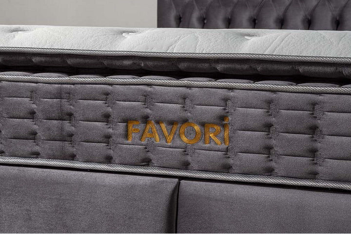 Pat Favori