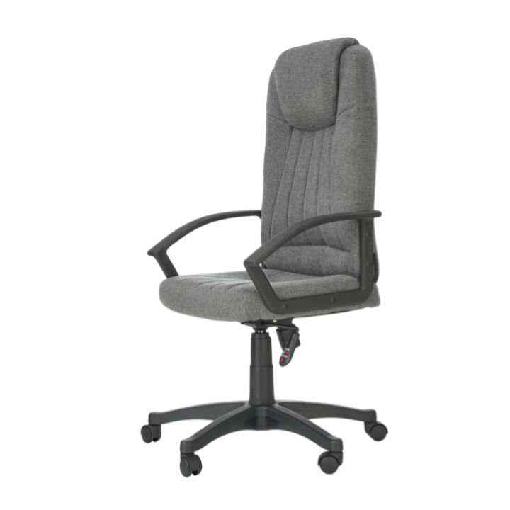 Scaun Rino