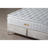 Pat Arya