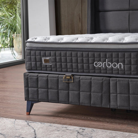 Pat Carbon - Total Mobila