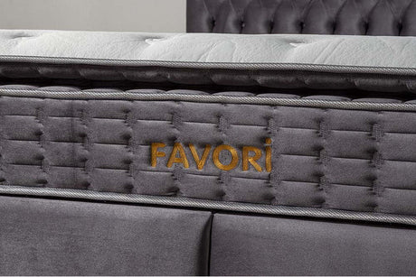 Pat Favori - Total Mobila